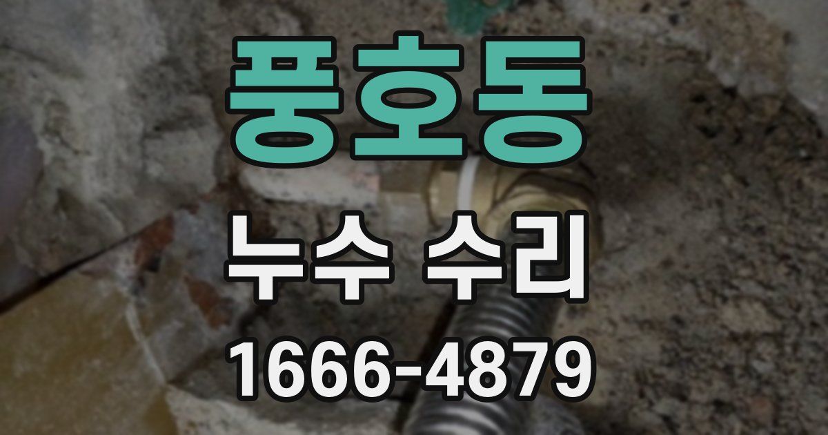 풍호동 누수 수리