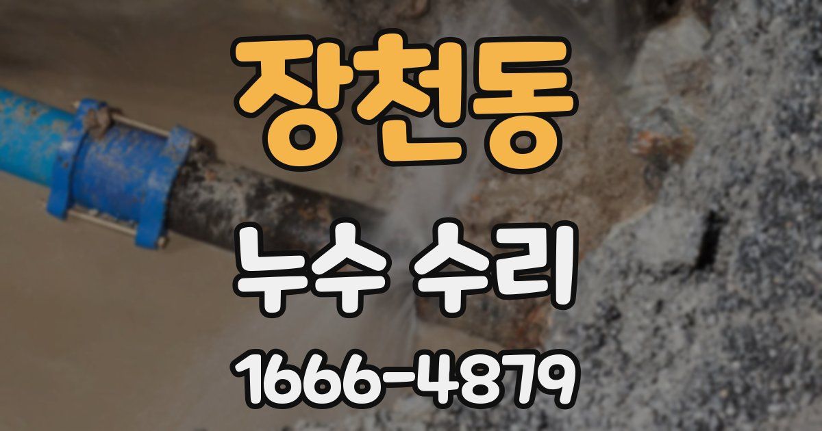 장천동 누수 수리