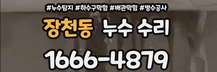 장천동 누수 수리
