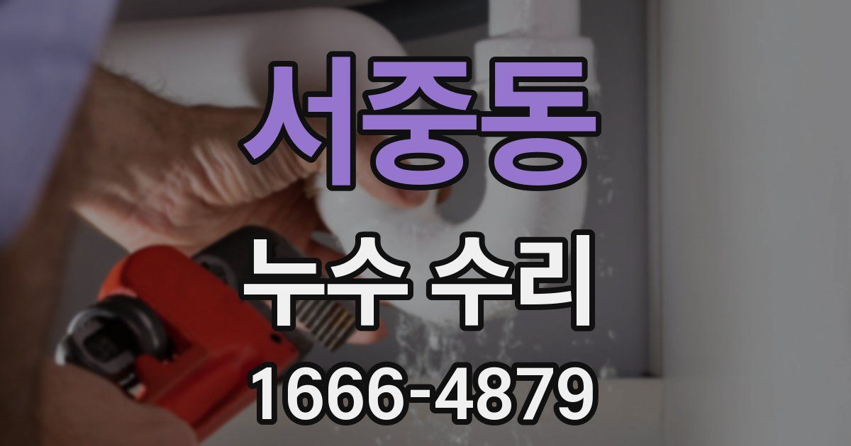 서중동 누수 수리