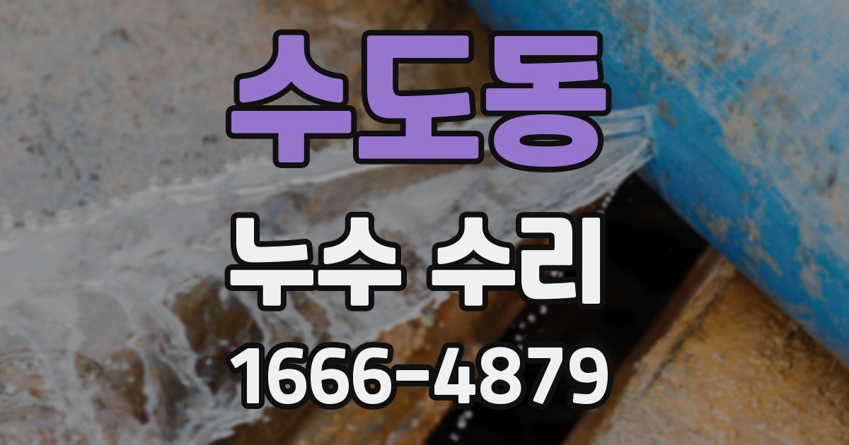 수도동 누수 수리