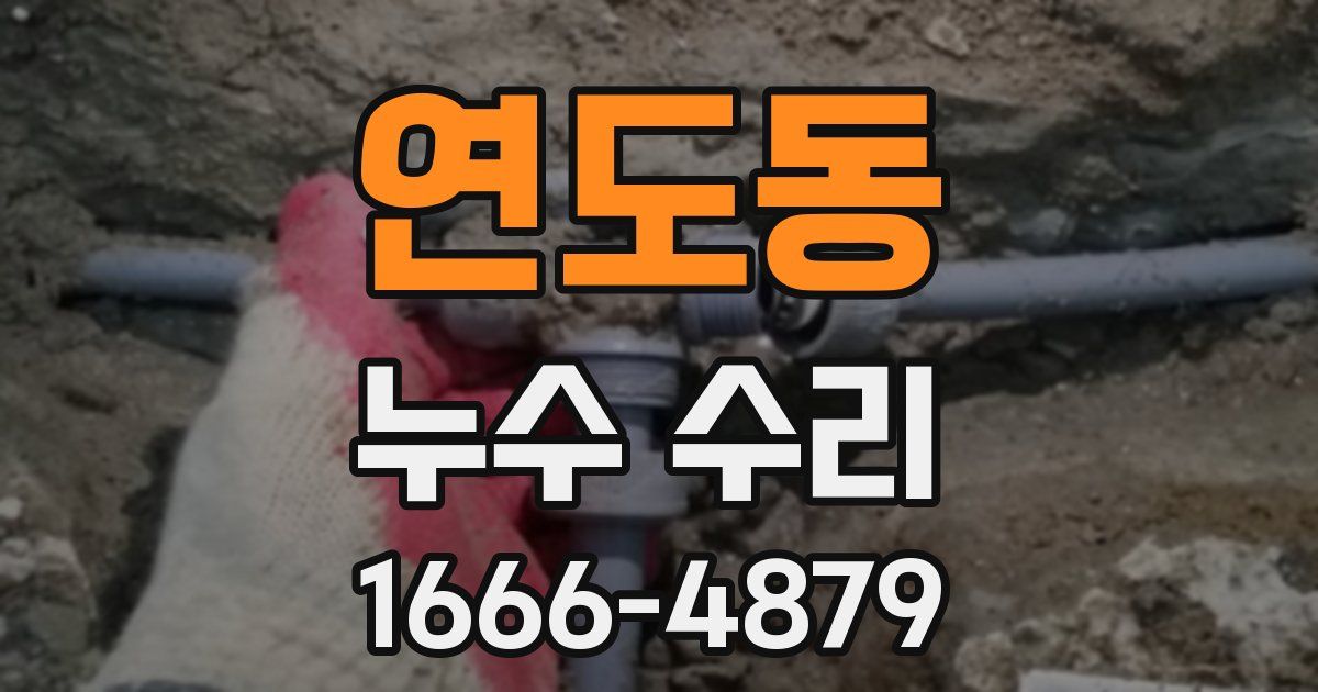 연도동 누수 수리