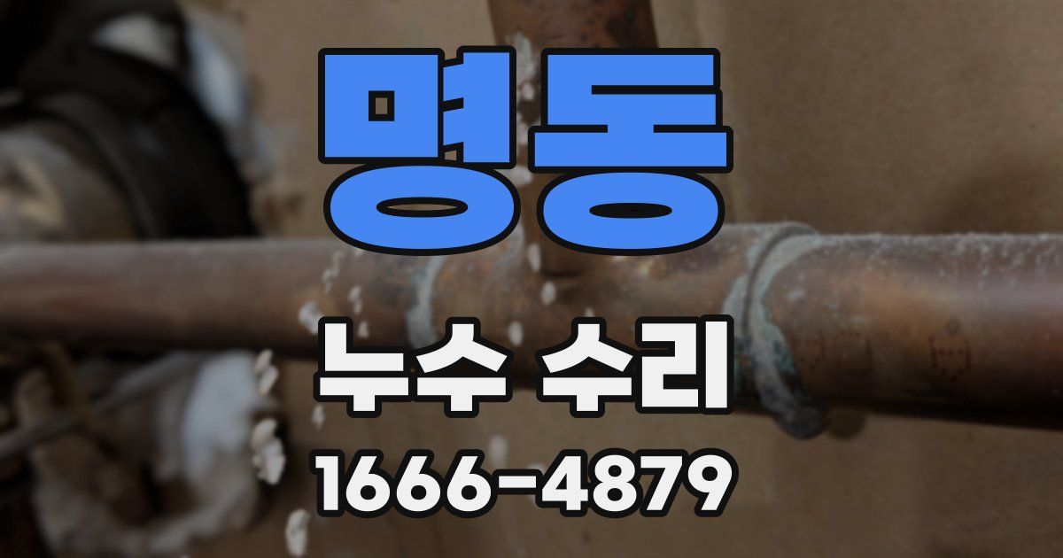 명동 누수 수리