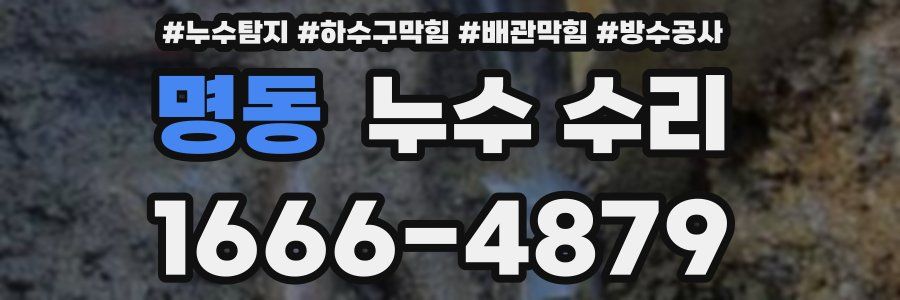 명동 누수 수리