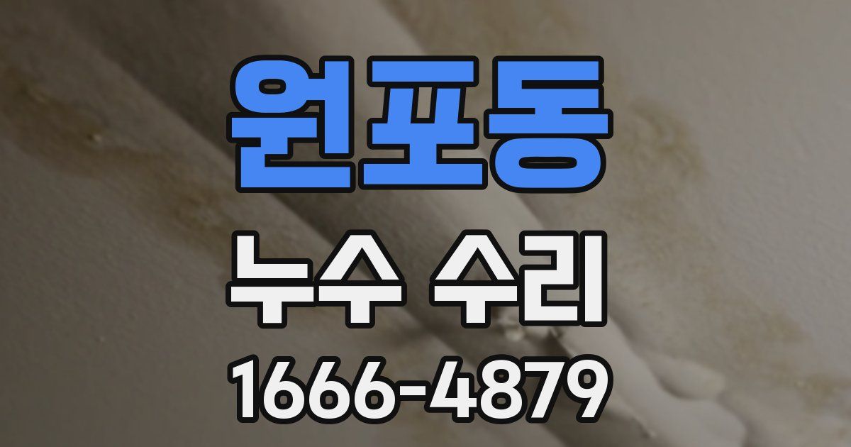 원포동 누수 수리