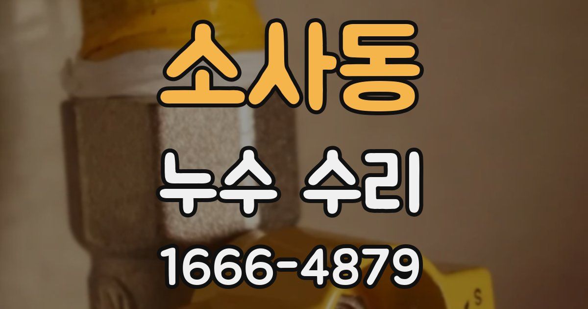 소사동 누수 수리