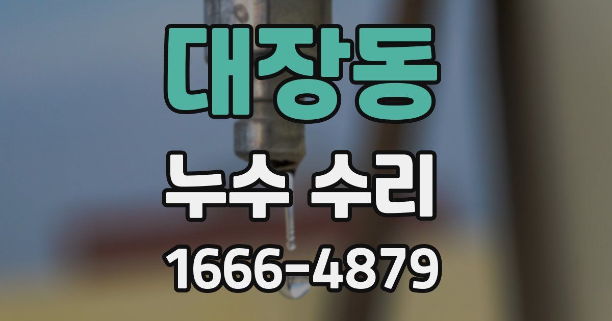 대장동 누수 수리