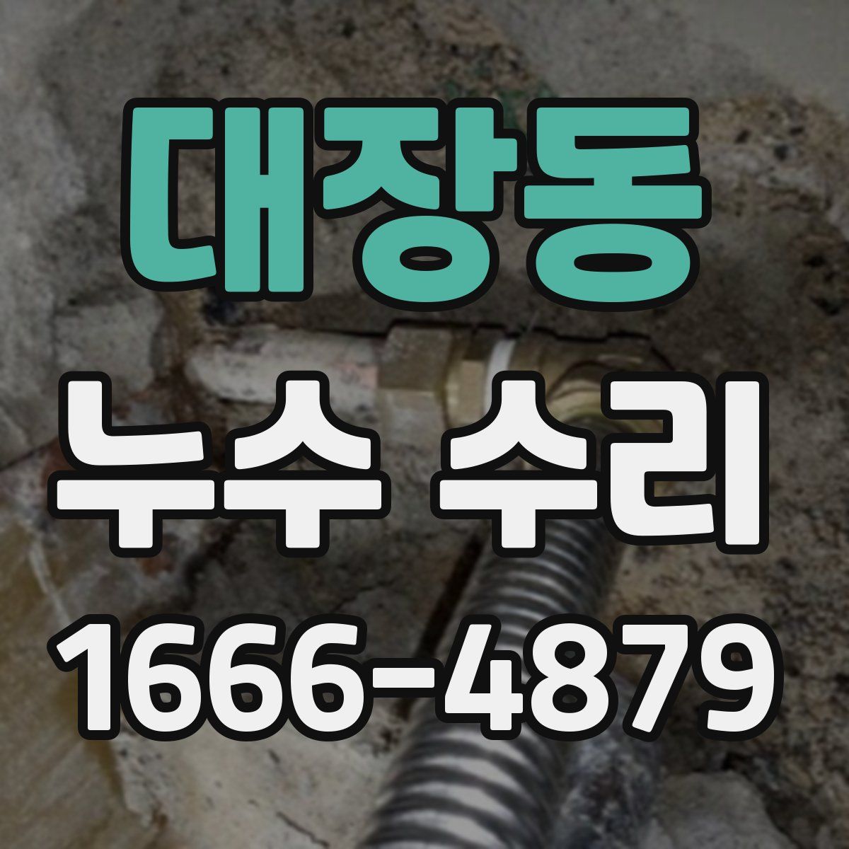 대장동 누수 수리