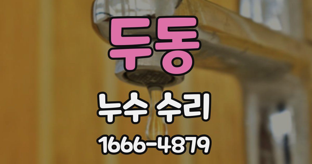 두동 누수 수리