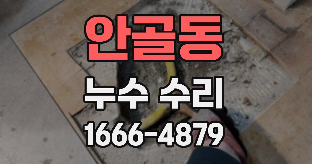 안골동 누수 수리