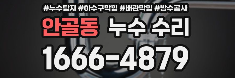 안골동 누수 수리