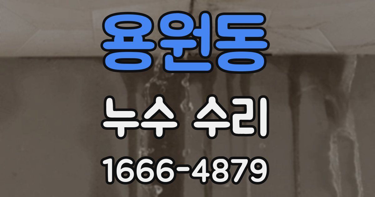 용원동 누수 수리