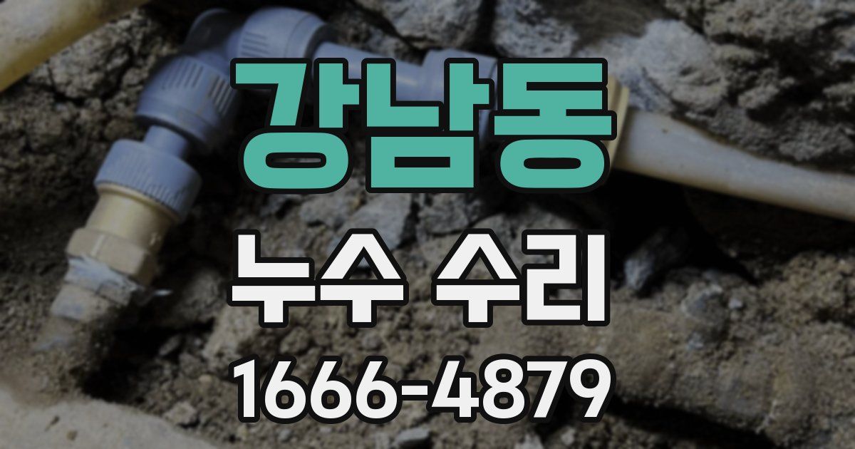 강남동 누수 수리