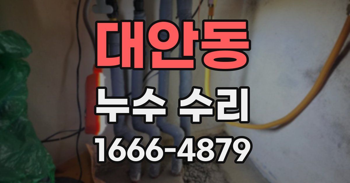 대안동 누수 수리