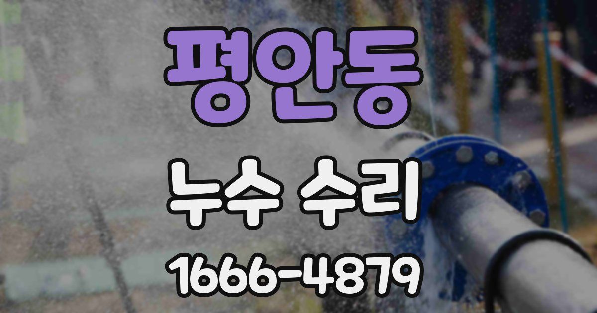 평안동 누수 수리