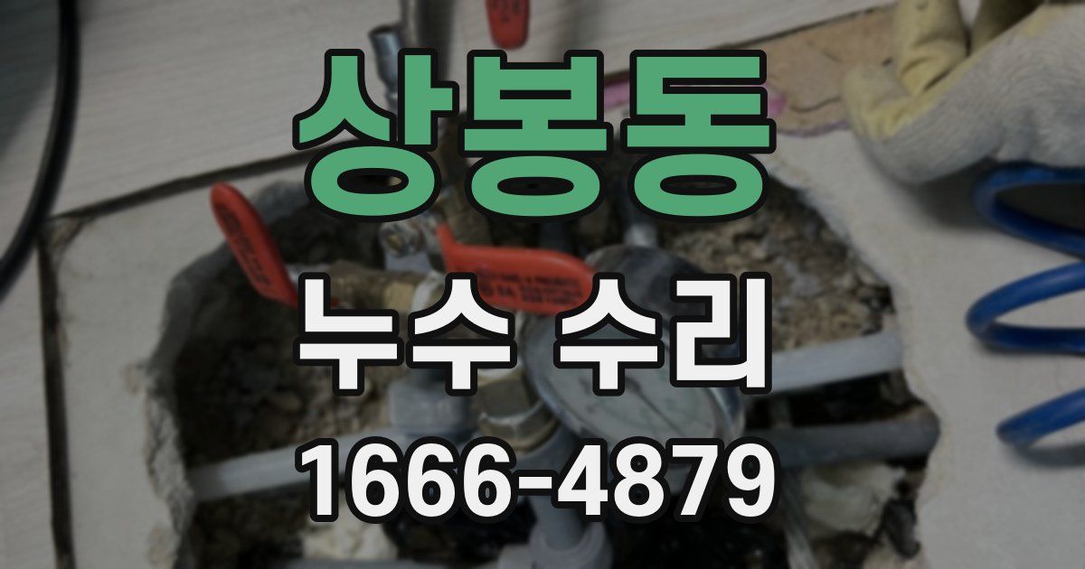 상봉동 누수 수리