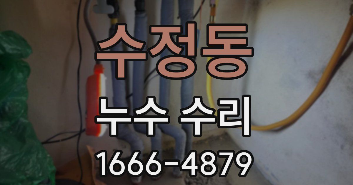 수정동 누수 수리
