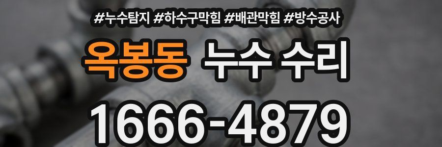 옥봉동 누수 수리