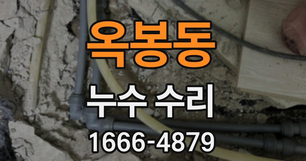 옥봉동 누수 수리
