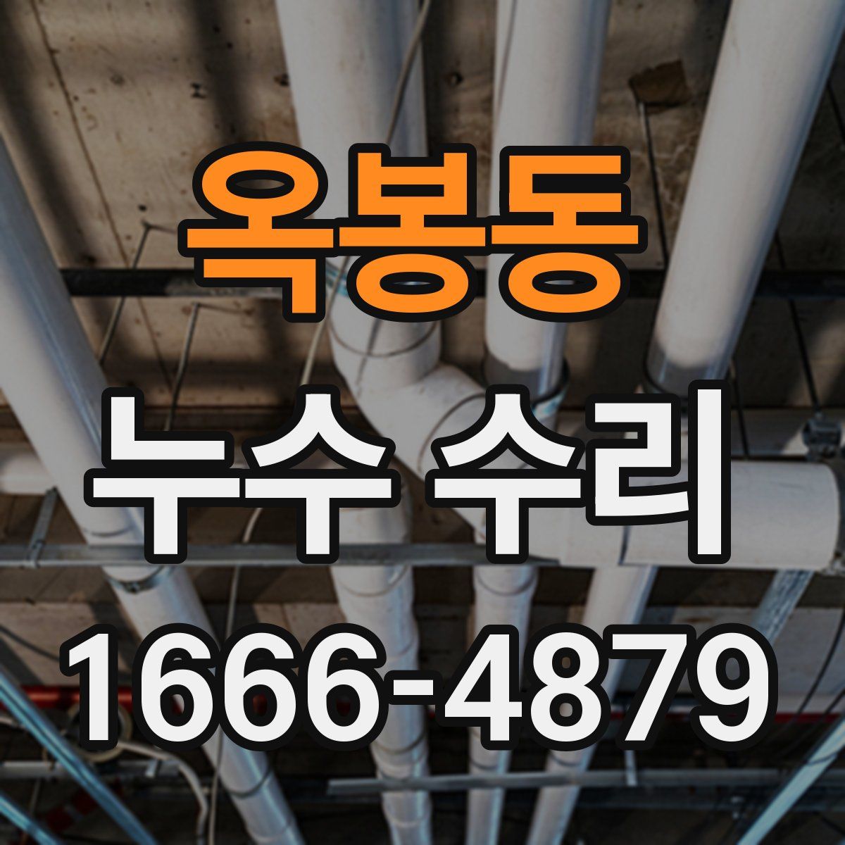 옥봉동 누수 수리