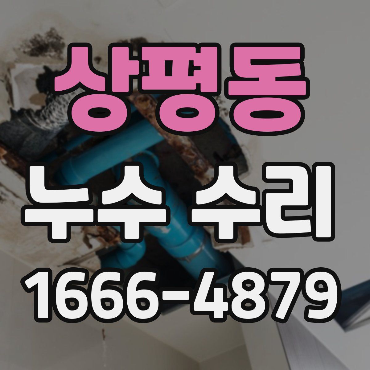 상평동 누수 수리