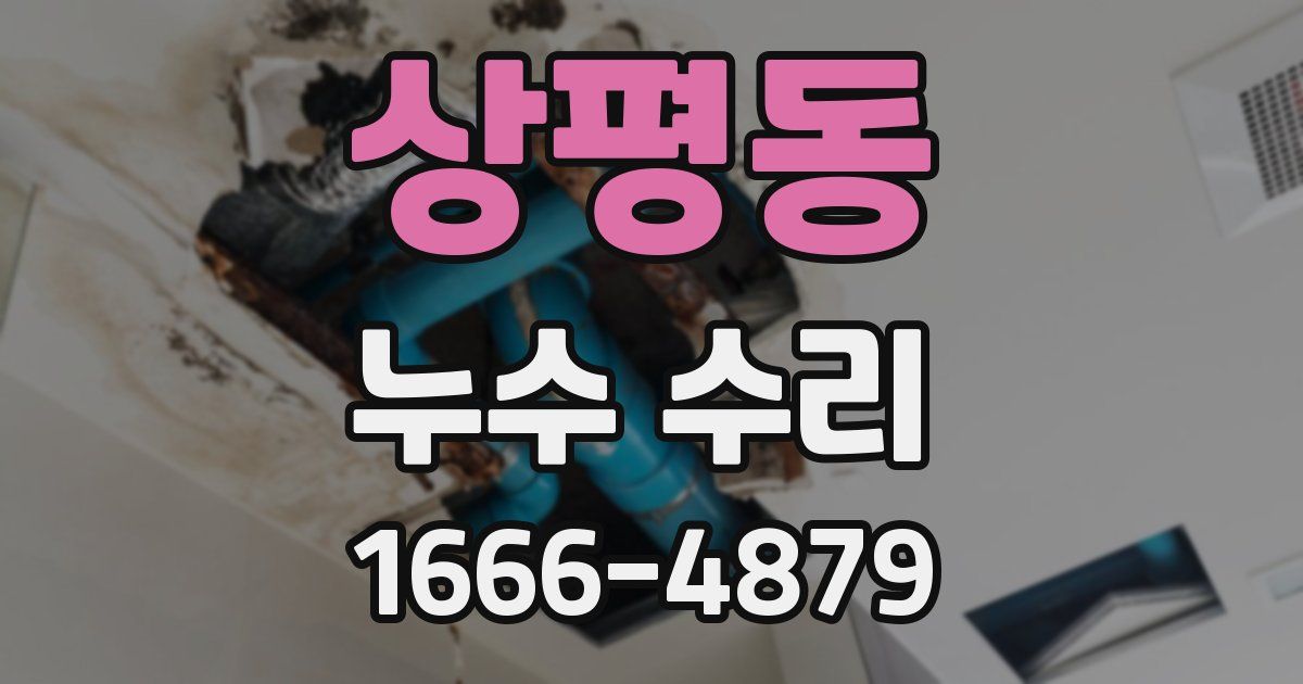 상평동 누수 수리