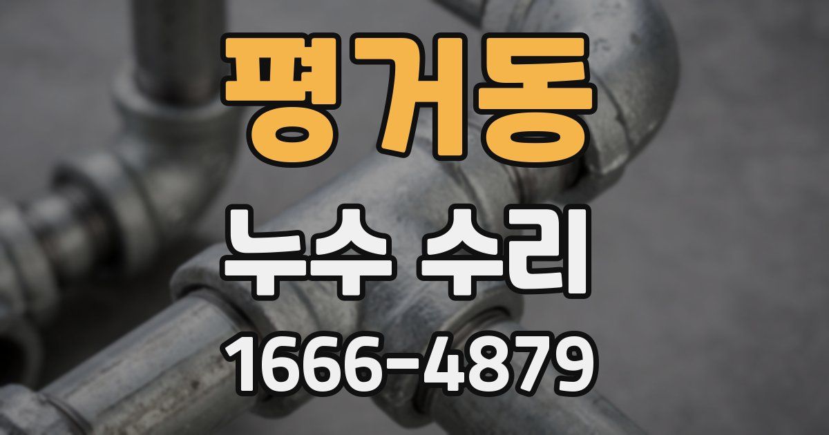 평거동 누수 수리