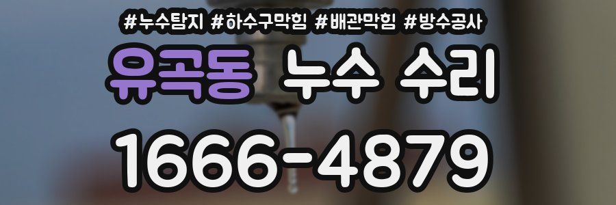 유곡동 누수 수리