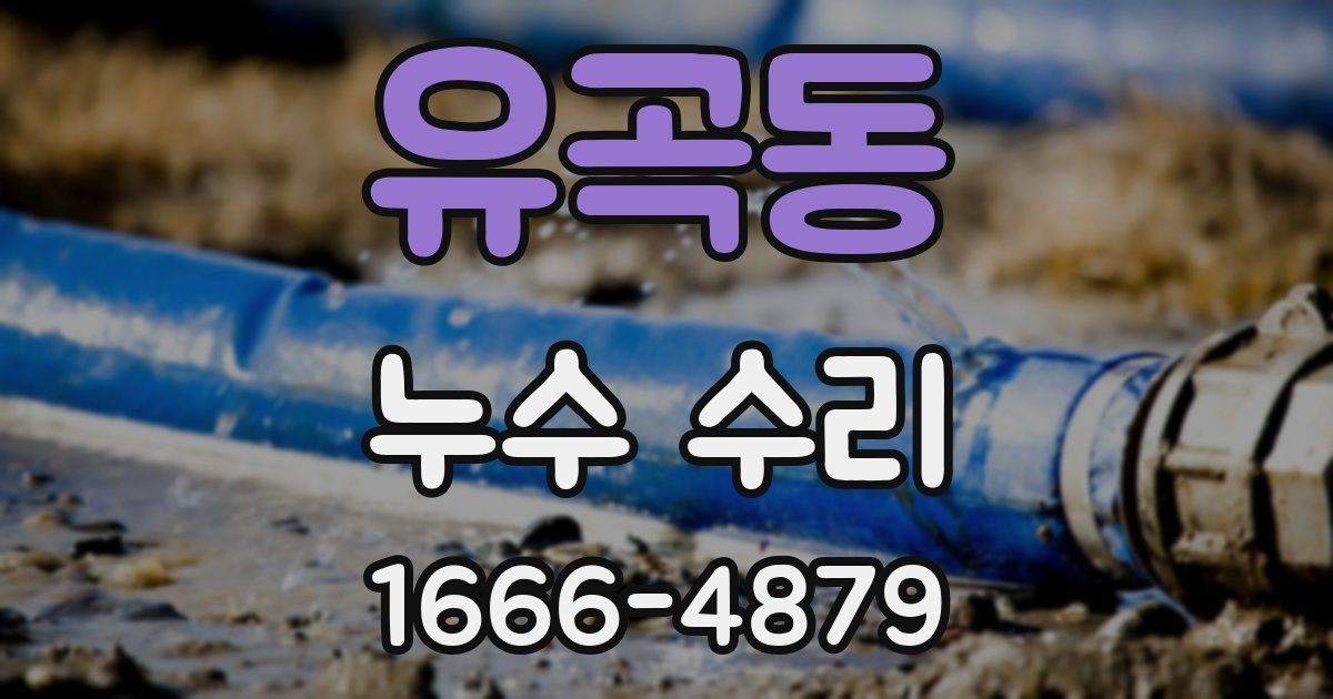 유곡동 누수 수리