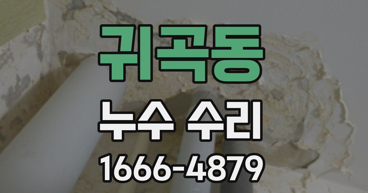 귀곡동 누수 수리