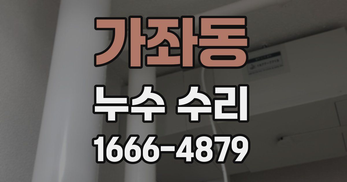 가좌동 누수 수리