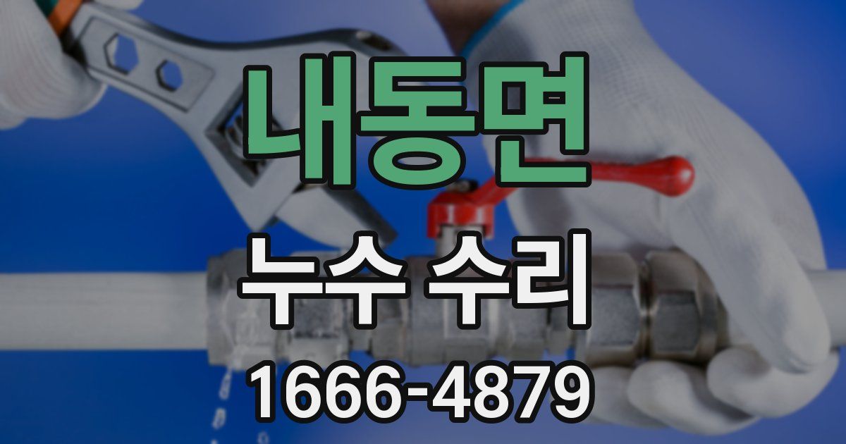 내동면 누수 수리