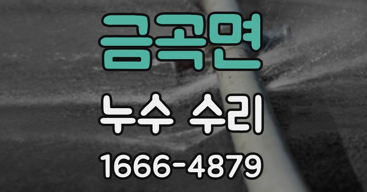 금곡면 누수 수리