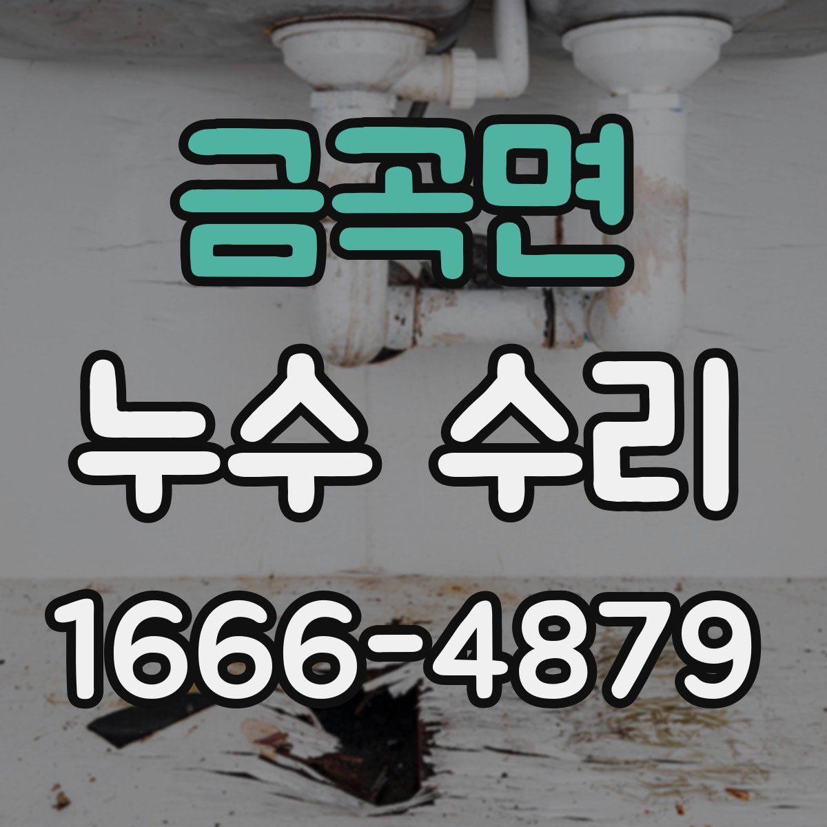 금곡면 누수 수리