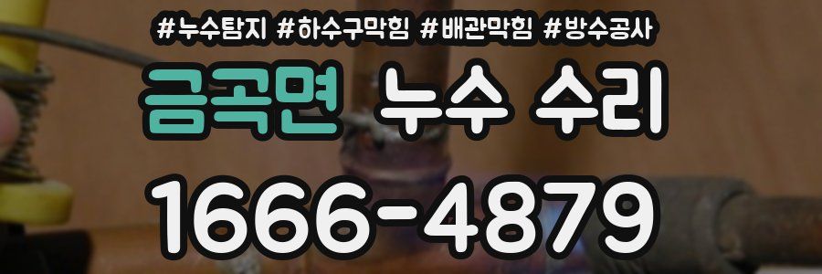 금곡면 누수 수리