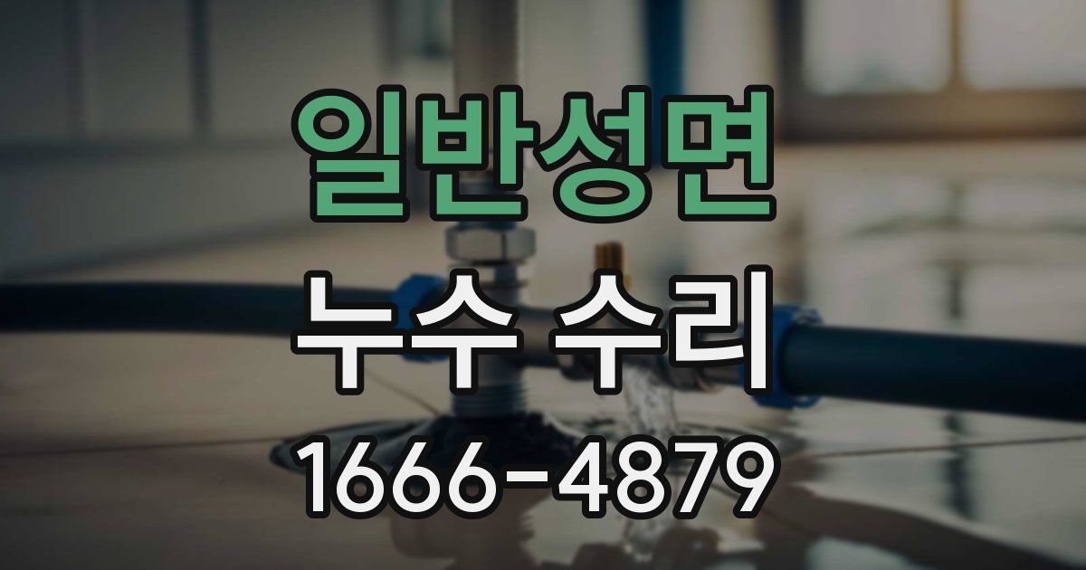 일반성면 누수 수리
