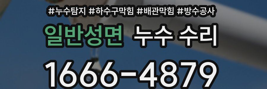 일반성면 누수 수리