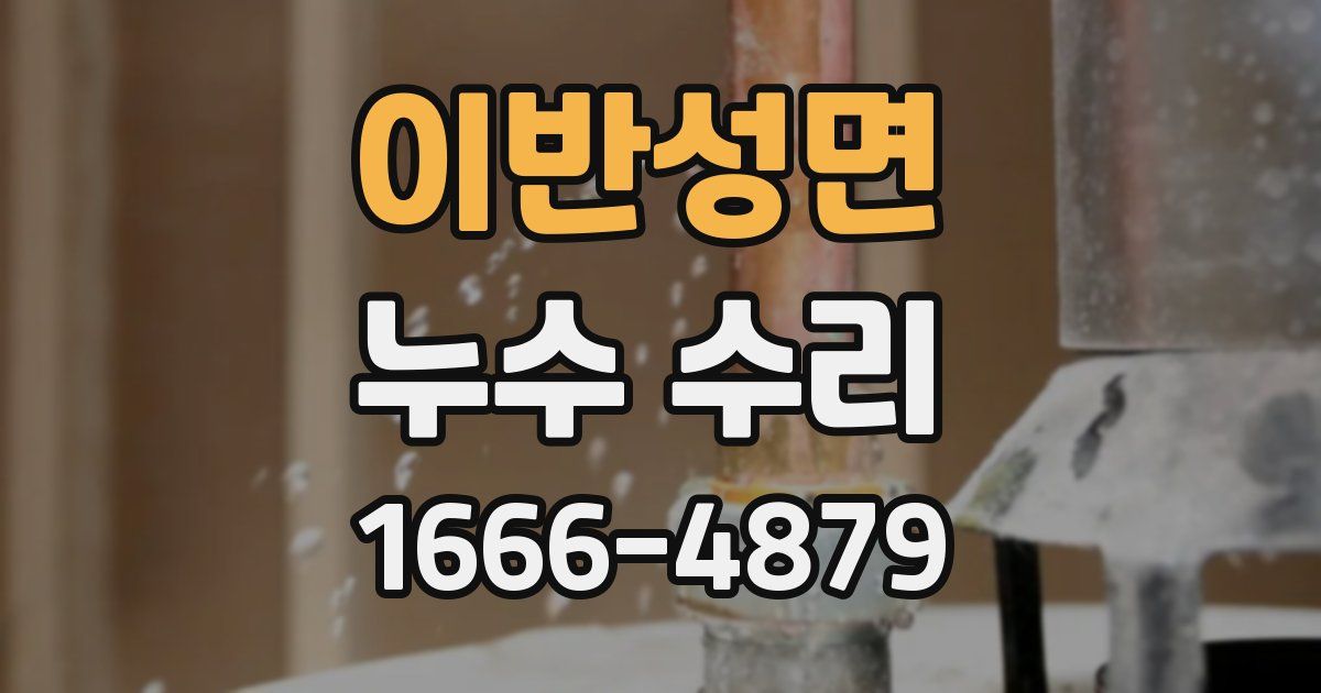이반성면 누수 수리