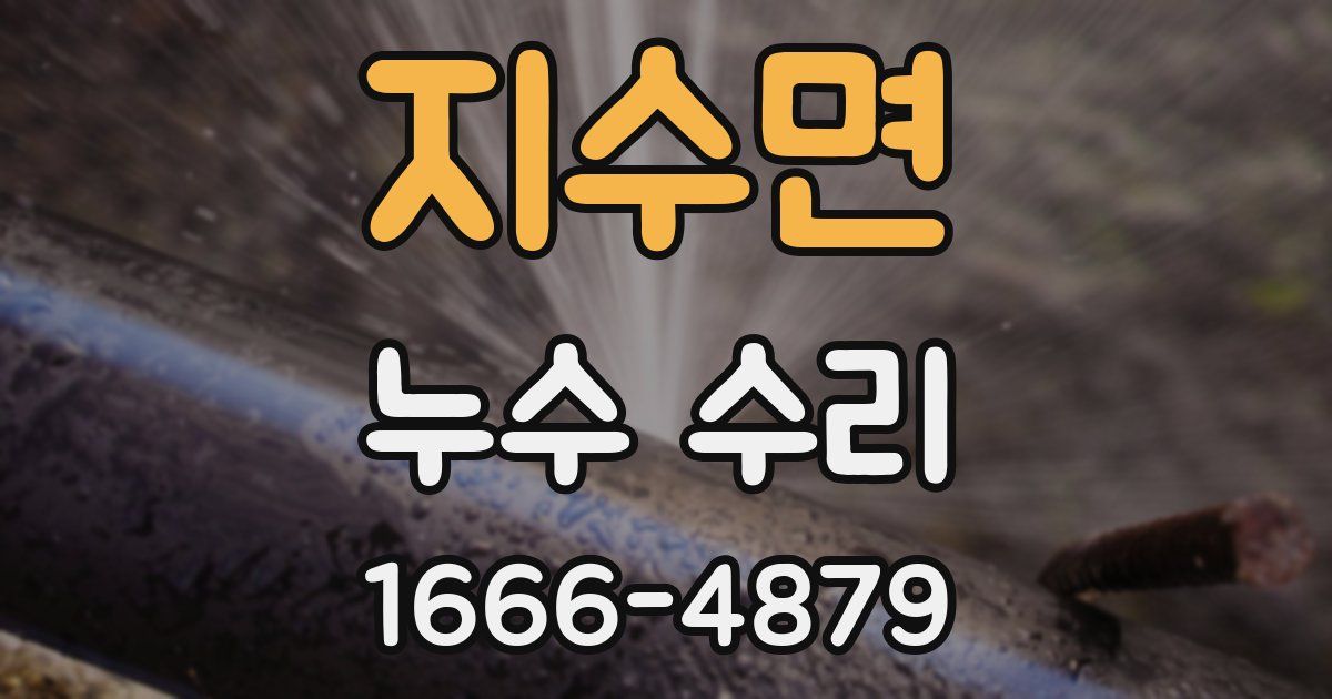 지수면 누수 수리