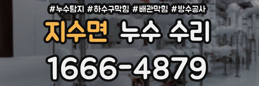 지수면 누수 수리