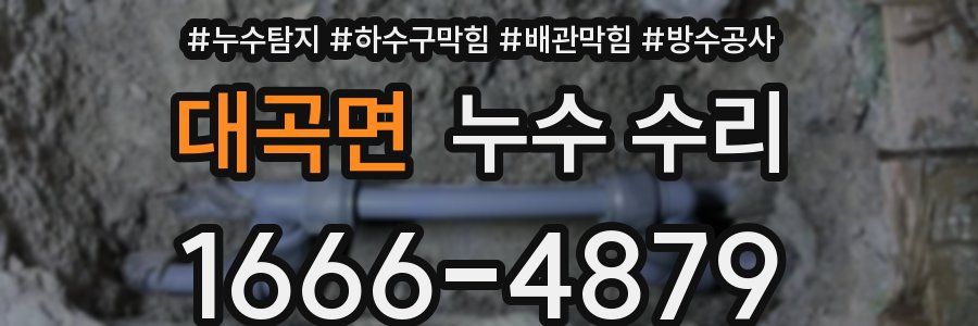 대곡면 누수 수리