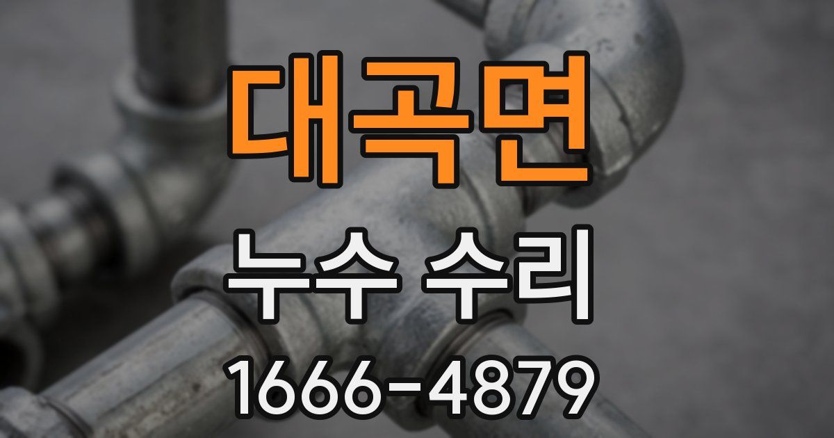 대곡면 누수 수리