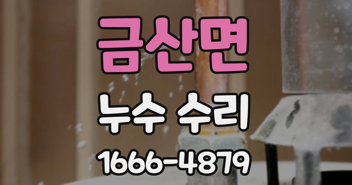 금산면 누수 수리