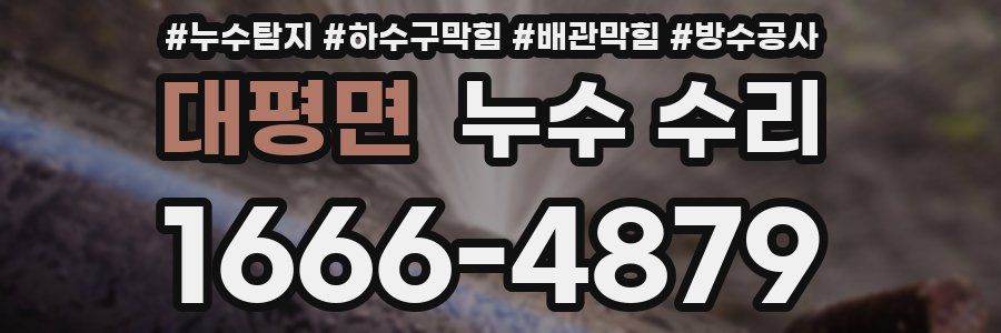 대평면 누수 수리