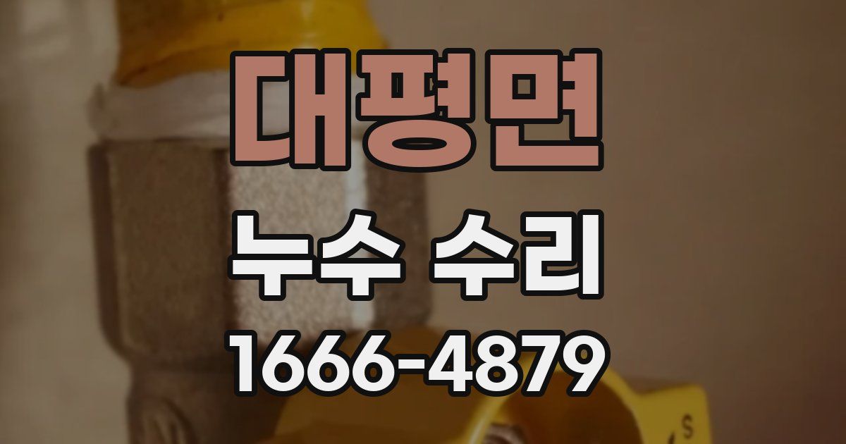 대평면 누수 수리