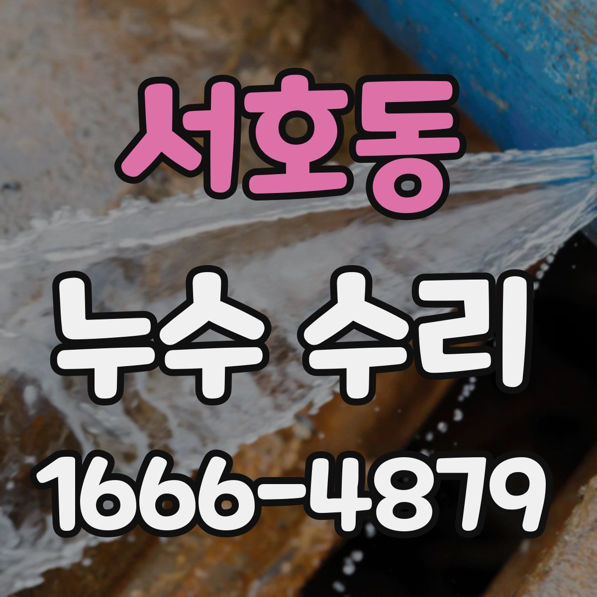 서호동 누수 수리