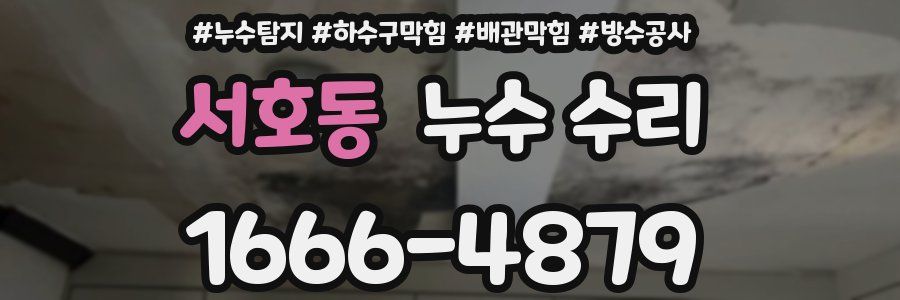 서호동 누수 수리