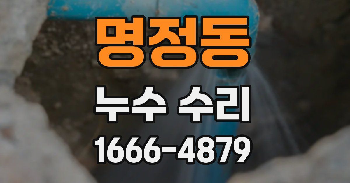 명정동 누수 수리