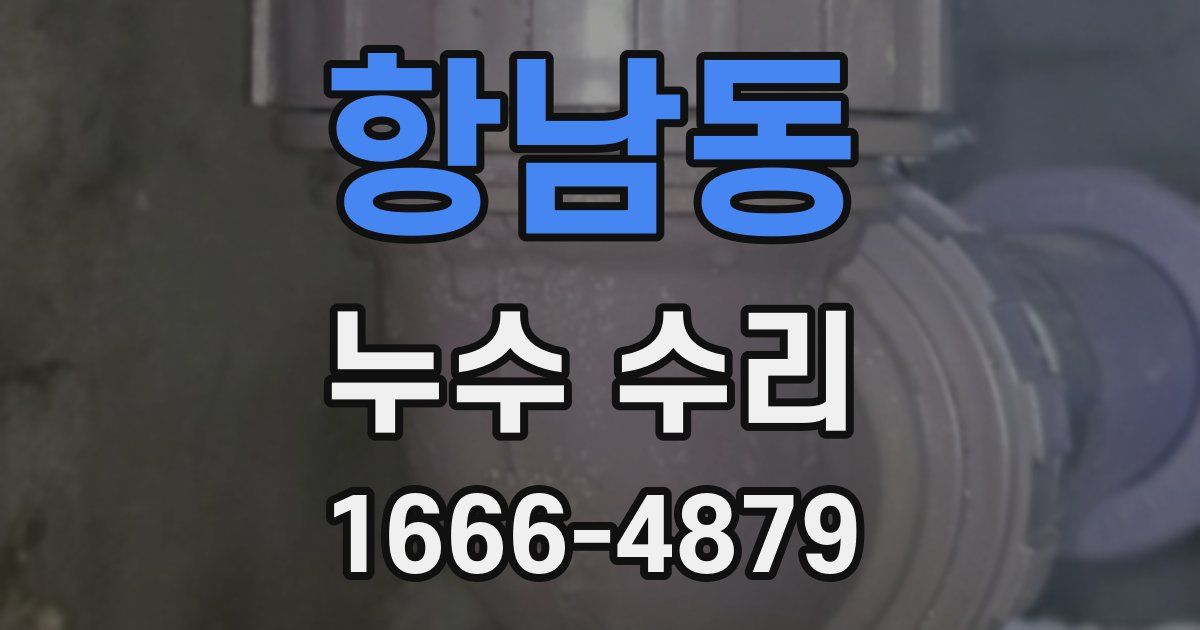 항남동 누수 수리