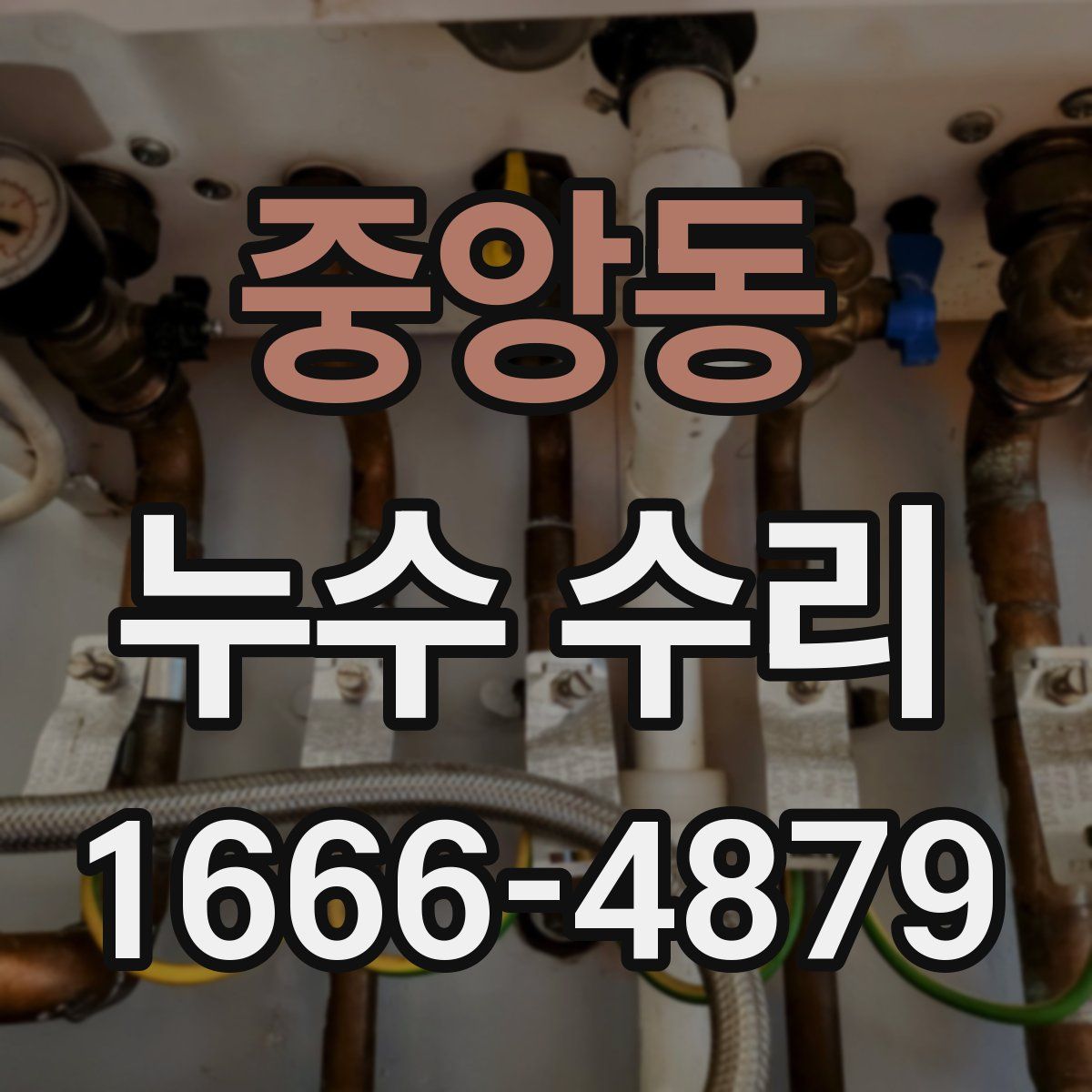 중앙동 누수 수리